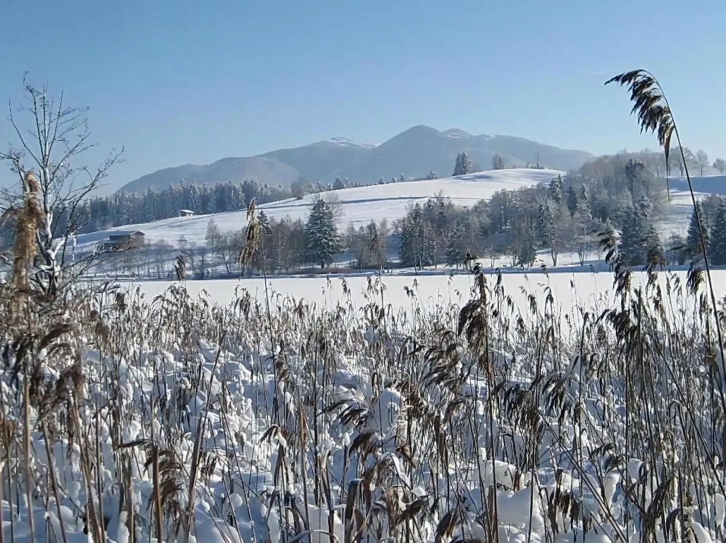 Baeriger Urlaub Mit Viel Herz Bad Bayersoien
